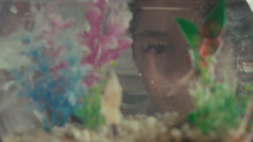 A child looking at a fish tank