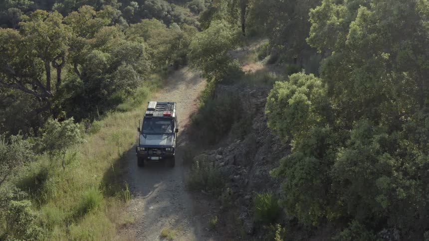 Vehicle on narrow dirt road surrounded by dense forest in serene exploration setting