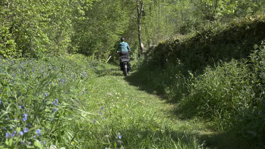 Dog running down a trail with two people on bicycles