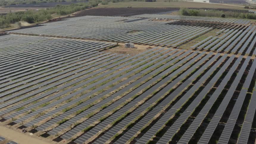 Aerial view of a field covered in solar panels