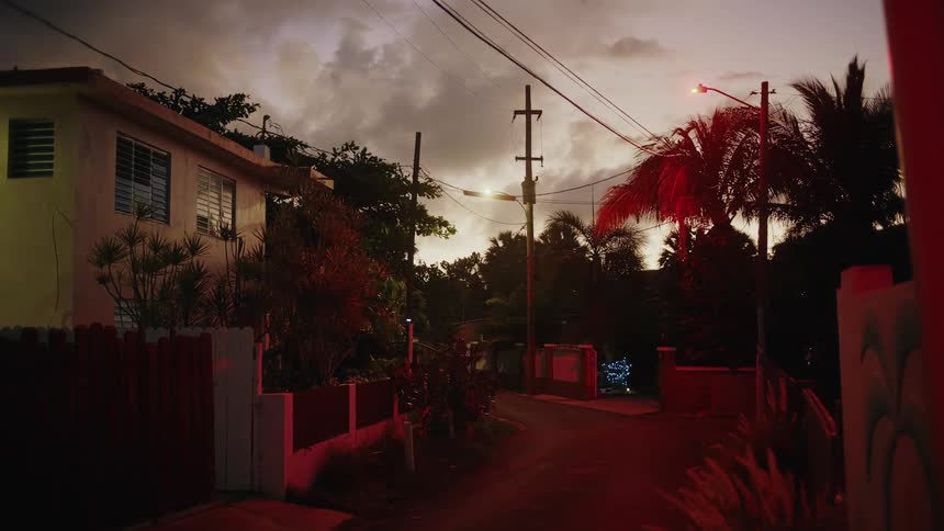 Palm trees overlook a quiet neighborhood street under a cloudy sky as darkness falls