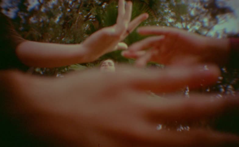 Person standing with raised arm among palm trees in a wooded area