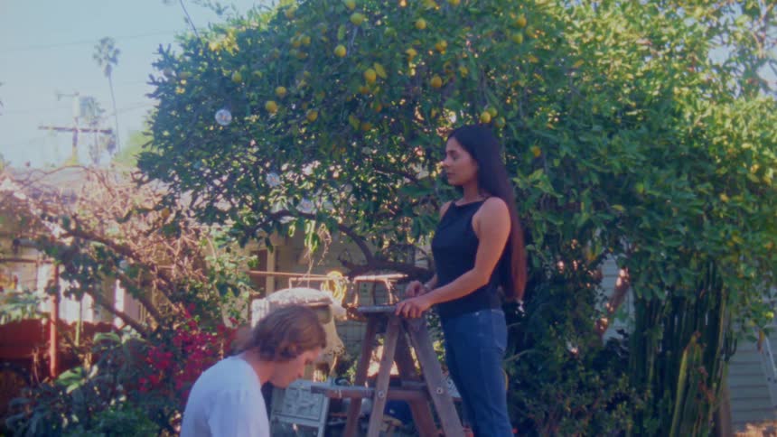 The woman is picking oranges from the tree