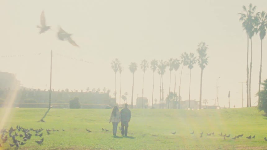 A couple walks away across a wide green field under a bright hazy sky while birds fly overhead and palm trees line the horizon in the distance
