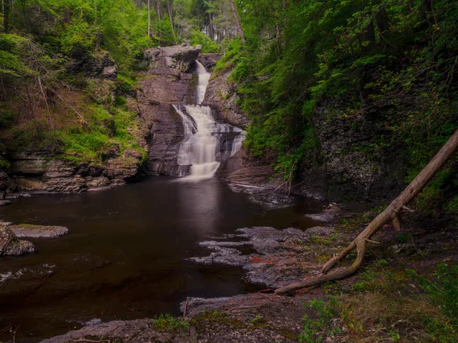 Landscape of a waterfall in a forest