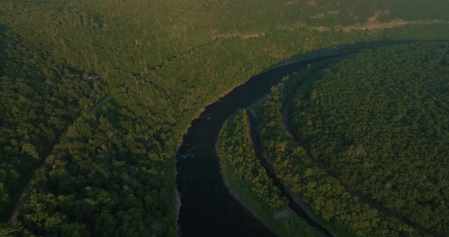 Aerial of a flowing river surrounded by a green forest during daytime