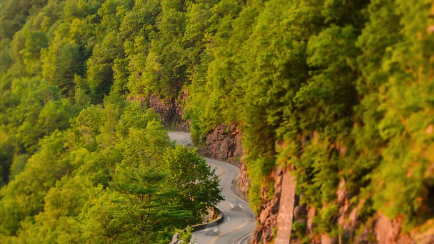 Winding road cuts through a rocky hillside covered with dense vegetation under natural light