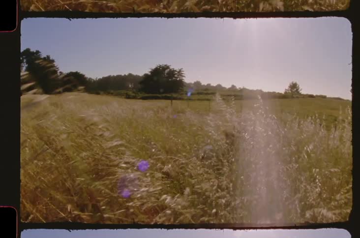 Person throwing themselves into a green field