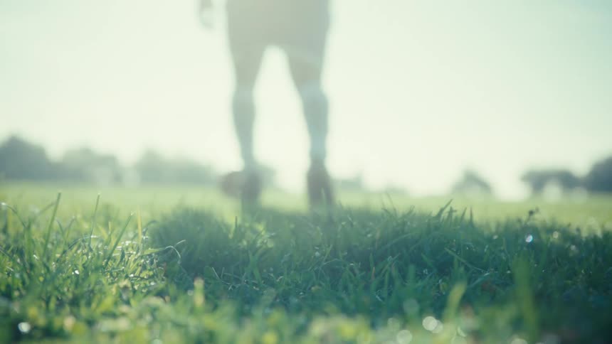 A soccer player swings foot to kick a ball on green grass under bright sunlight