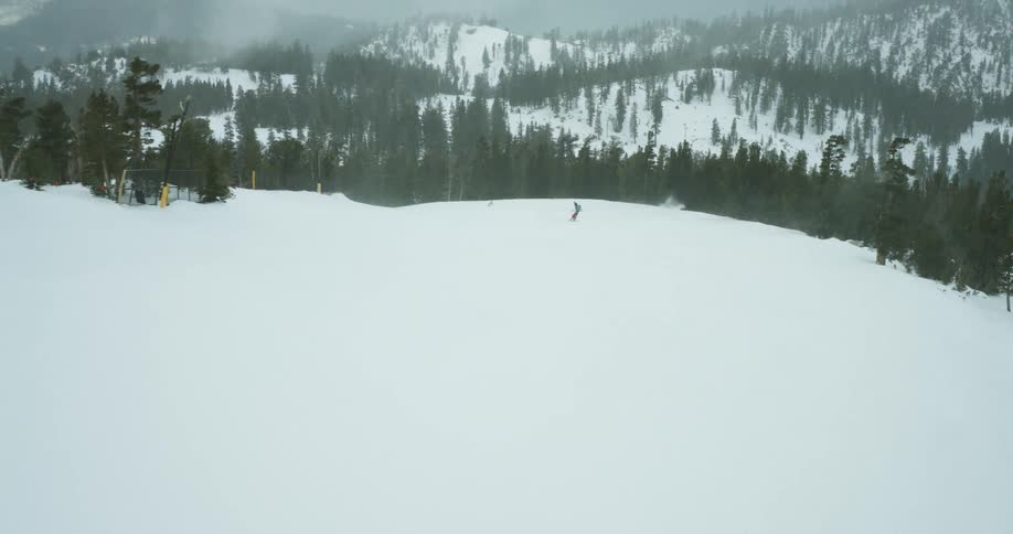 Skiers ski near a band of trees located on a snowy mountain on a winter day