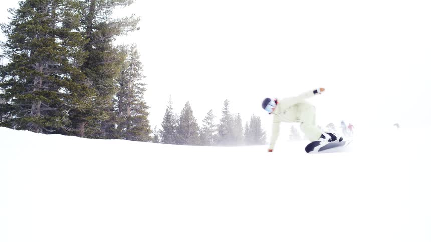 A group of skiers rides downhill on a snowy mountain slope past evergreen trees on a winter day