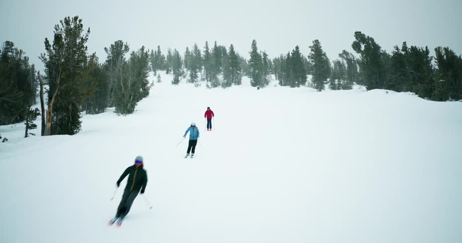 A line of skiers descends a snowy mountain slope through a evergreen forest under an overcast sky