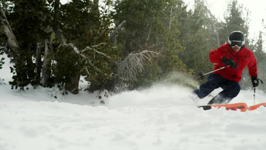 Snow falls as a skier turns near trees and snow flies into the air