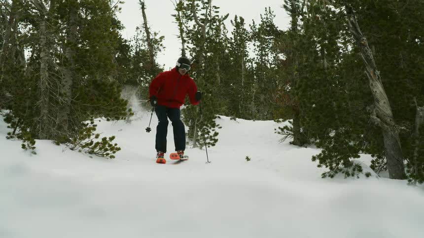 A skier glides downhill through a snowy forest of evergreen trees