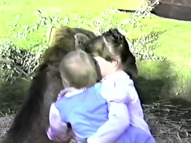 Female child wearing a pink dress carrying a baby girl and showing her how to pet a camel outdoors during day time