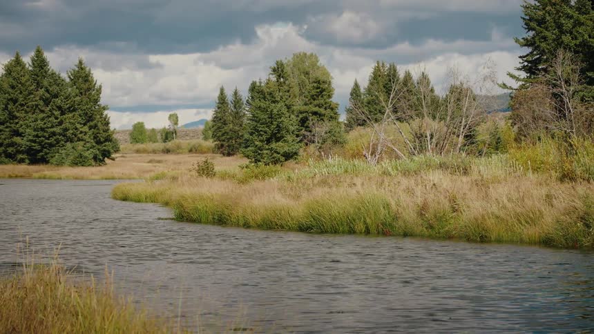 River running through forested marshland under a cloudy sky
