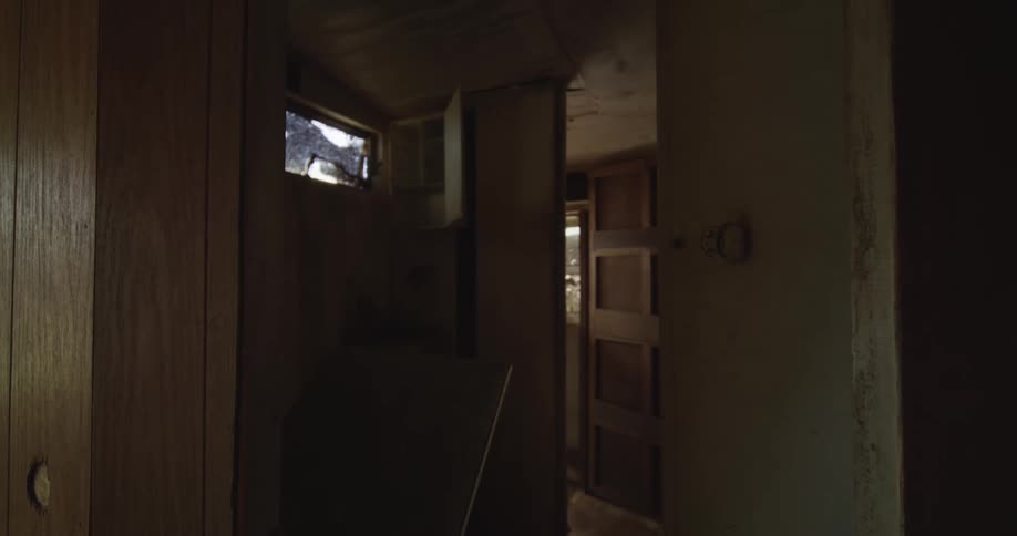 Narrow corridor with partially open wooden doors in a dimly lit interior