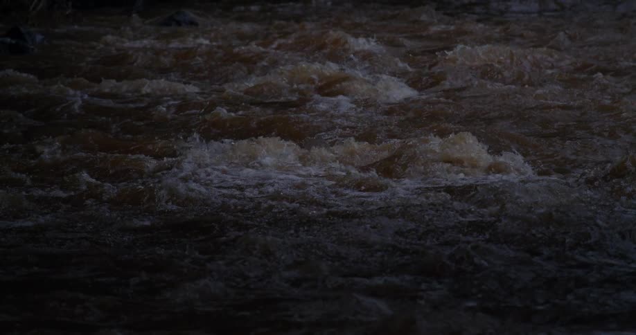 Dark water current shows waves and turbulence in a natural flow