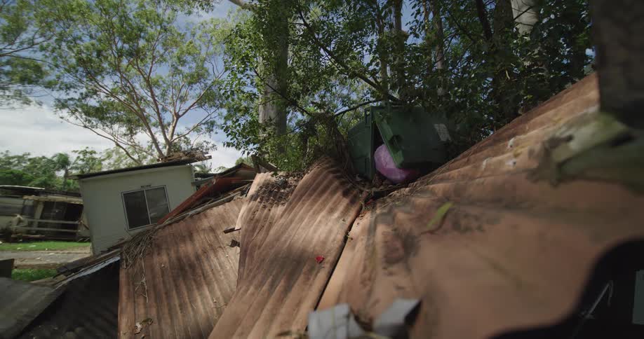 The shelter is destroyed by the trees