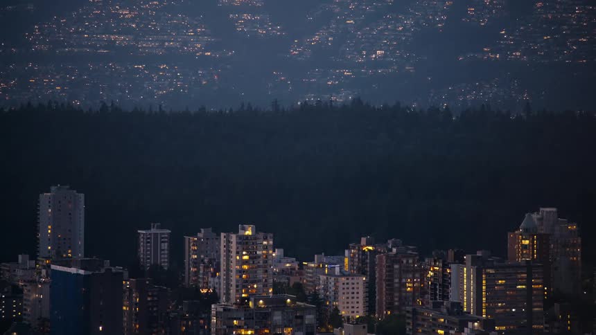 Neighborhood in a metropolitan area next to a forest outdoors during night time