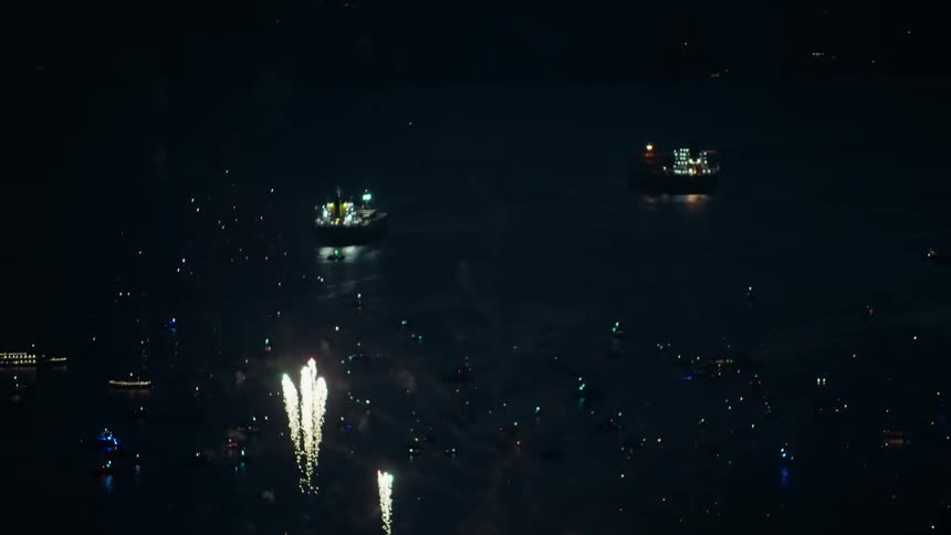 Fireworks light up the night sky by the shore