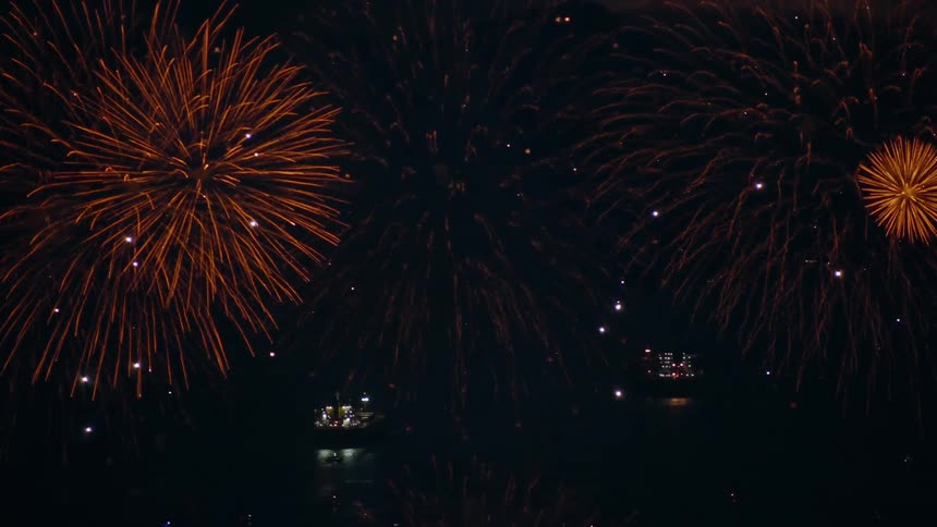Several colorful fireworks explode in the sky at nighttime