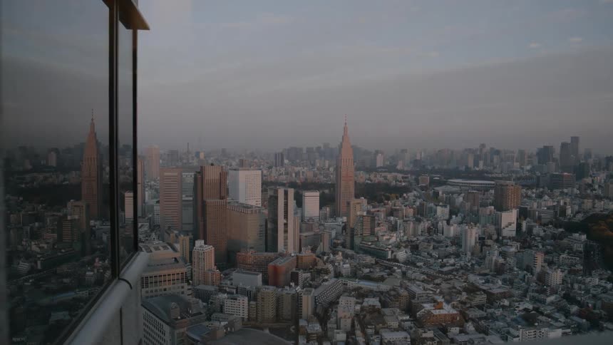 The tall buildings fill the large city