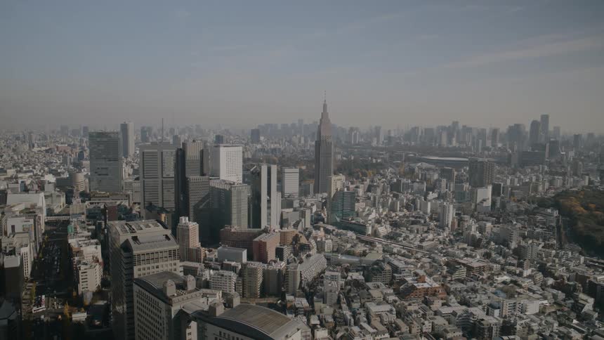 Aerial of skyscrapers in a metropolis on an autumn day
