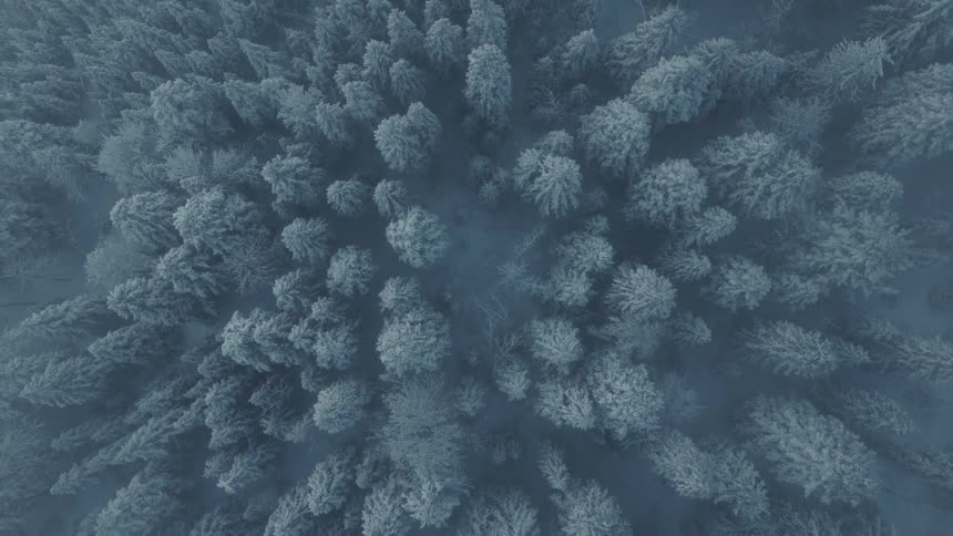 Looking straight down the camera rises and twists above a vast snowcovered forest until it is completely swallowed by a thick moody fog