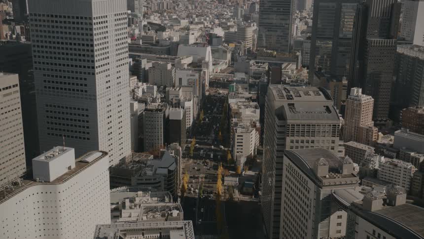 An aerial highangle view looks down a long straight city boulevard lined with dense rows of skyscrapers and shorter commercial buildings while small clusters of yellowleafed trees dot the sidewalks