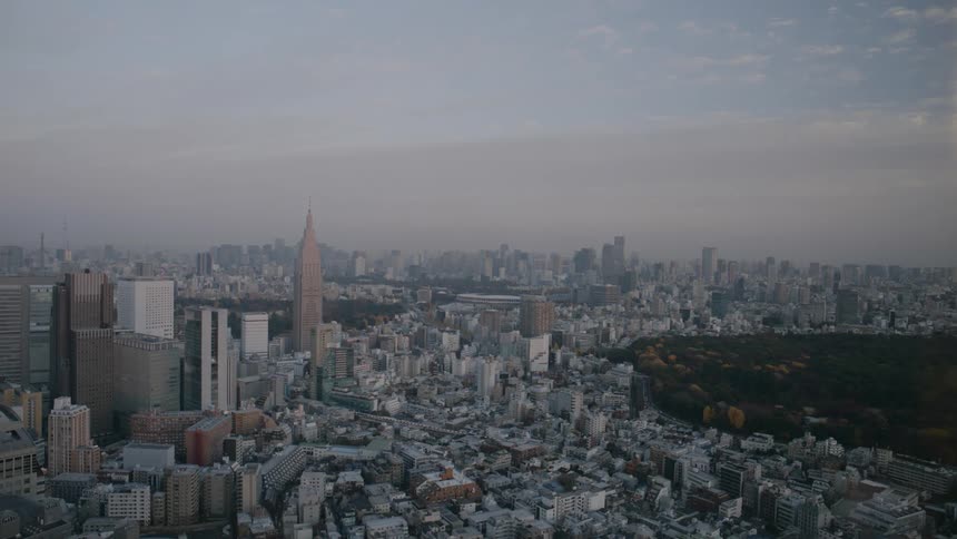 A park is at the center of the large city