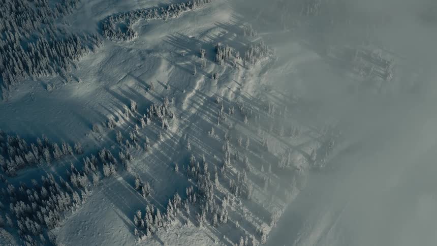Aerial view of a dense evergreen forest blanketed in snow and drifting clouds