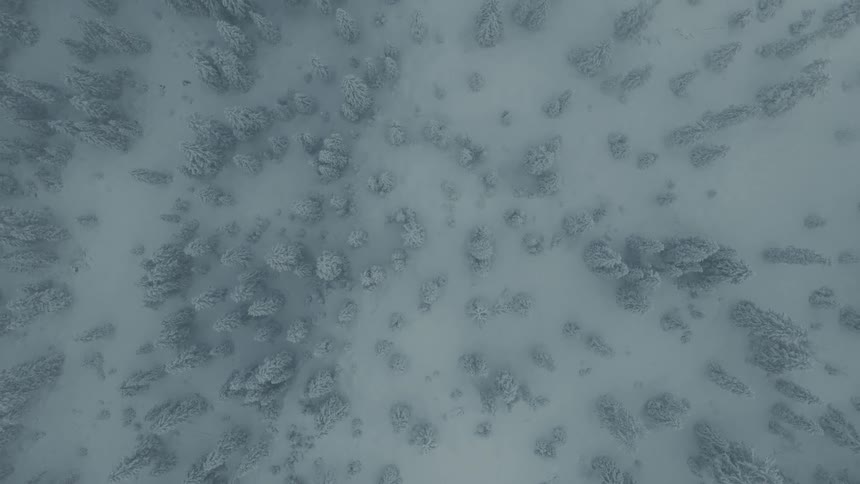 A disorienting topdown aerial view performs a slow continuous twist over a vast serene winter landscape of snowcovered treetops