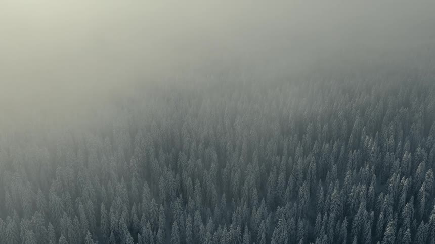 Aerial view moving over a snow covered mountain forest