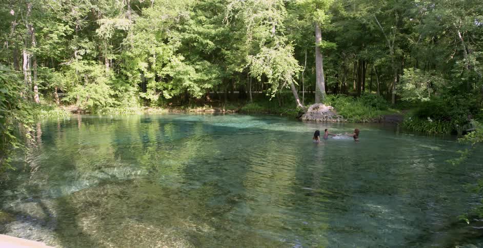 Three people swim in a body of water surrounded by trees on a sunny day