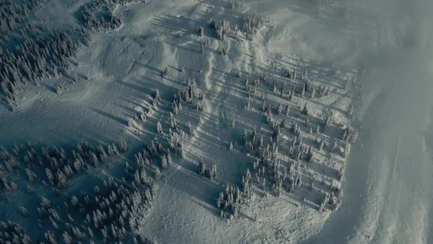 The snow covered landscape has many trees