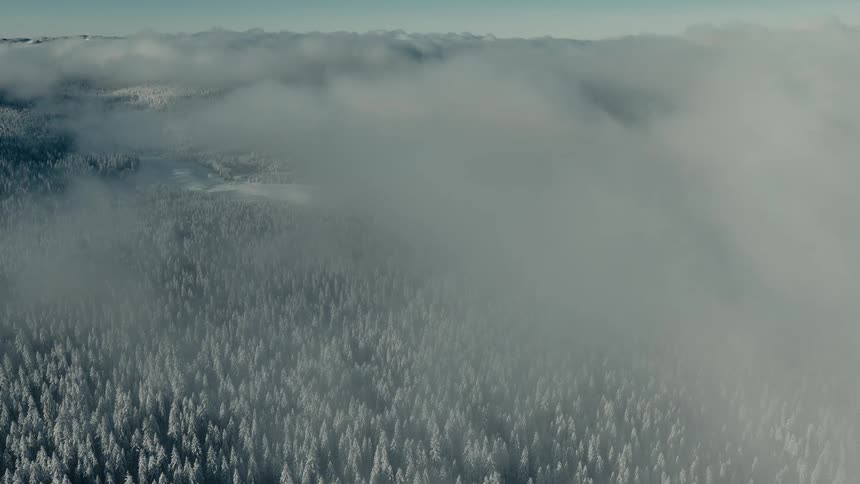 Aerial of a woodland area in winter during daytime