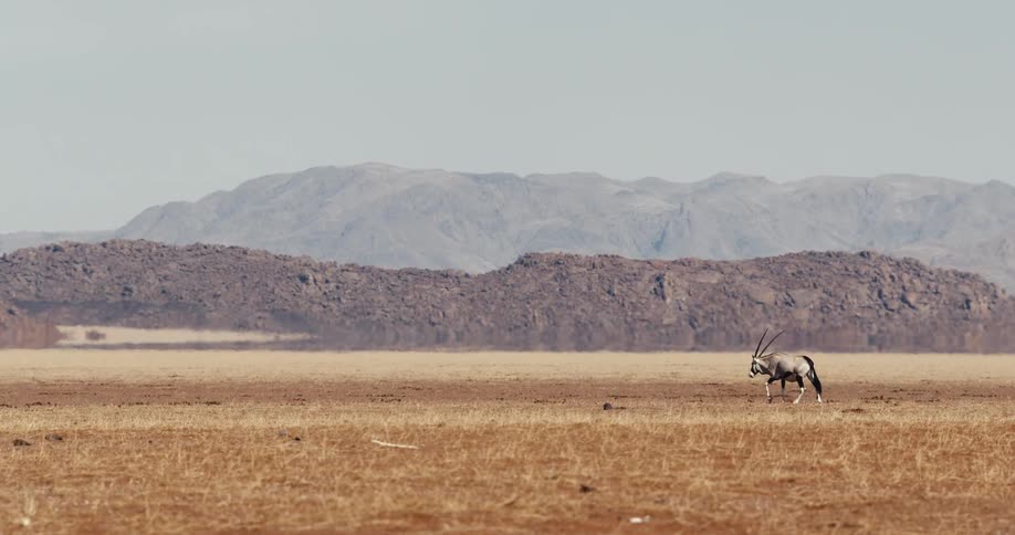 A wide landscape view captures a dry reddishbrown plain stretching towards a dark rocky ridge with distant mountains obscured by heat haze under a pale sky