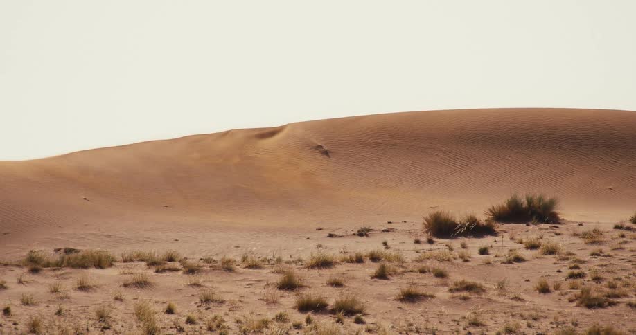 A wide view captures a desert landscape with a large smooth sand dune rising in the background behind scattered dry green bushes under a bright sky