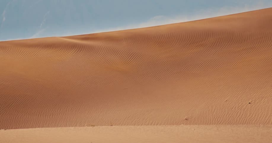 Sunlight shines on a desert dune