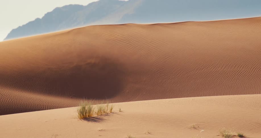 Fine sand blows across the golden rippled surface of a vast desert dune as wind gusts through the landscape with hazy mountains in the background