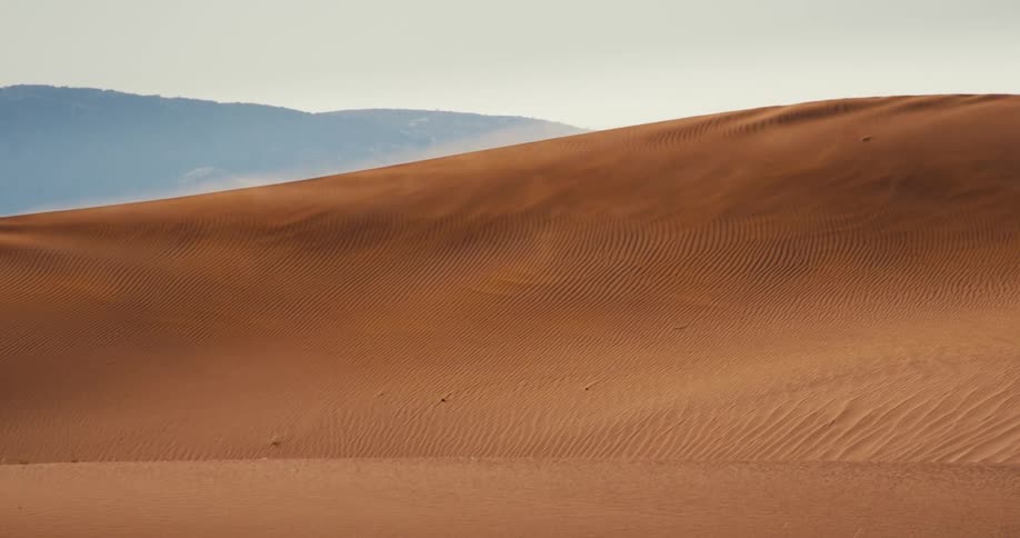 Sandstorm on a dune on a desert area outdoors during day time