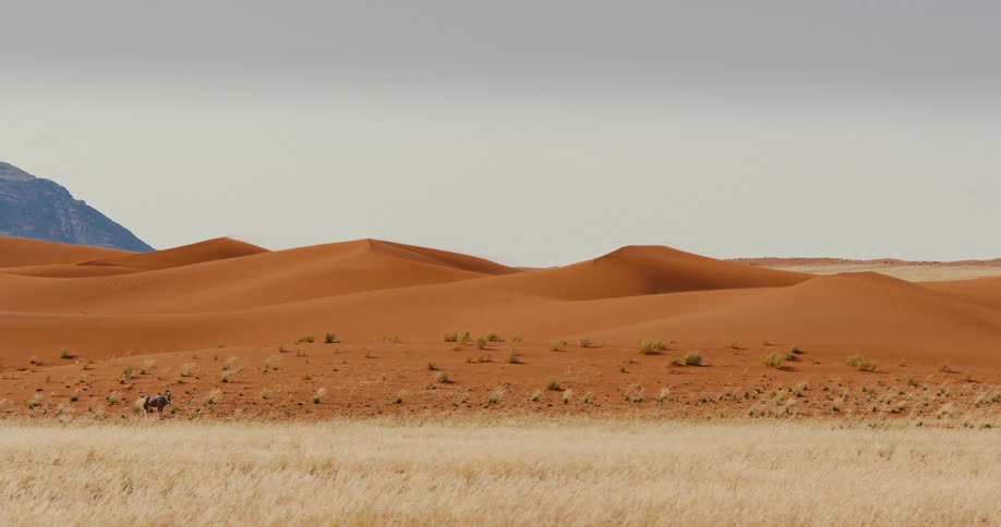 A view of sand dunes in the desert