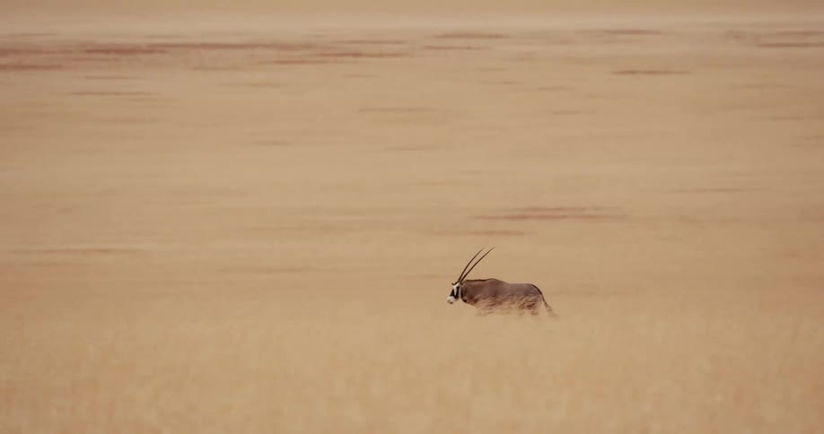 A lone antelope runs across a vast sandy desert plain under a hazy sky