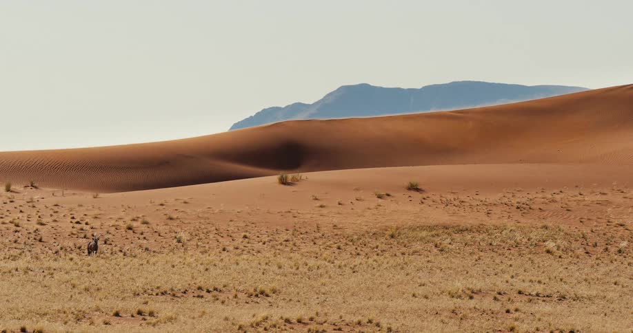 The desert is barren during the day