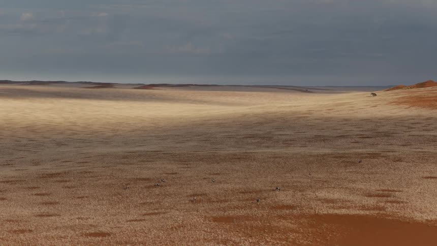Natural landscape of a desert area outdoors during day time