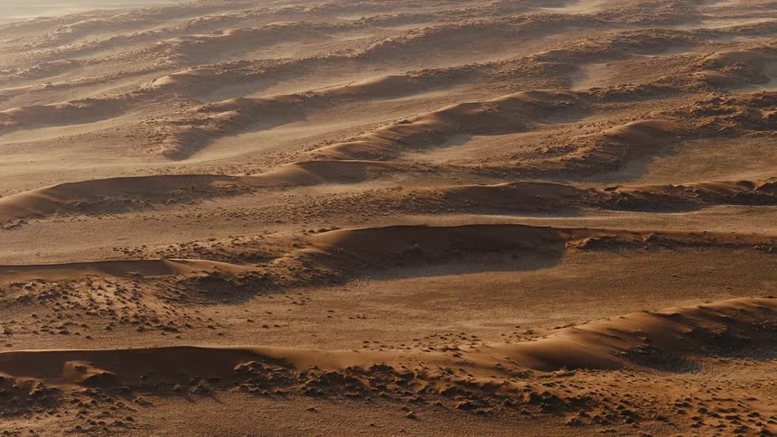 A vast expanse of rolling sand dunes in a desert capturing the deep shadows and golden light reflecting off the rippled terrain
