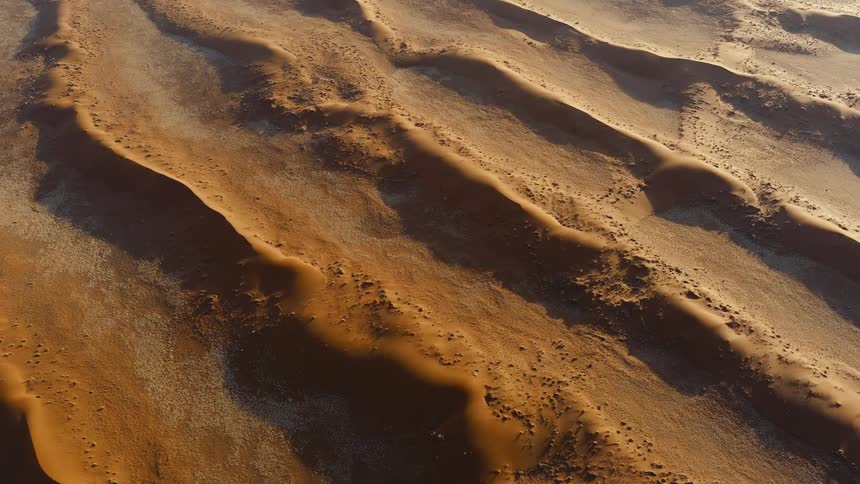 A row of dunes are in the desert