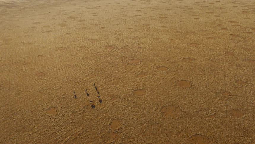 An aerial view of a sandy desert