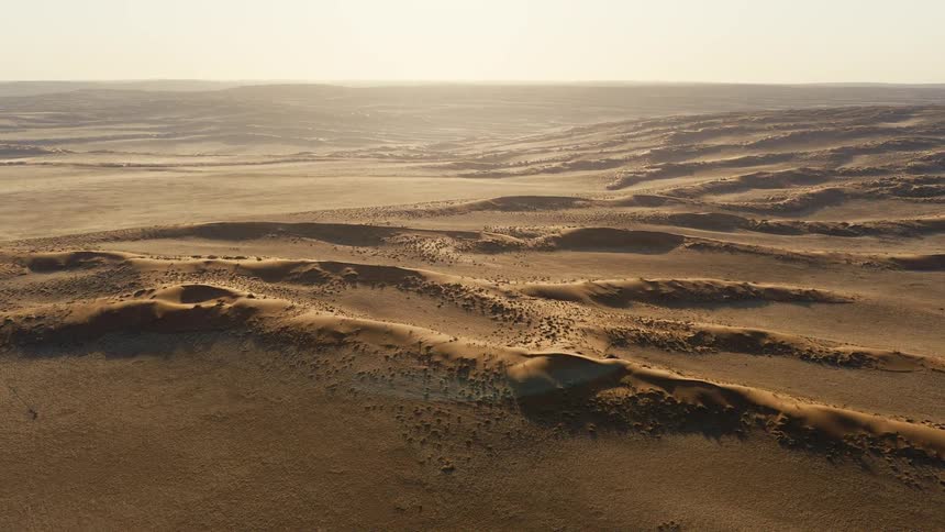 Extensive dunes form a rolling relief in a desert landscape under natural light